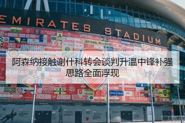 阿森纳接触谢什科转会谈判升温中锋补强思路全面浮现