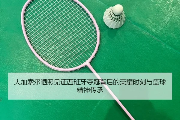 大加索尔晒照见证西班牙夺冠背后的荣耀时刻与篮球精神传承